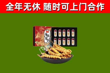 佛山回收冬虫夏草价格