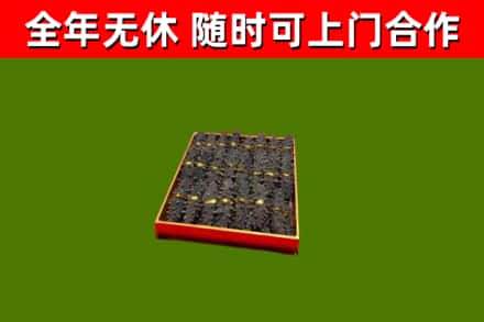 佛山回收海参